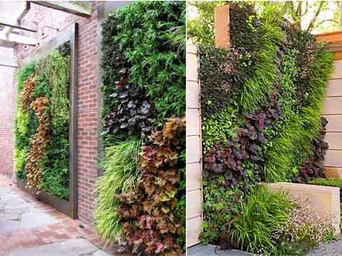 植物養(yǎng)護(hù)