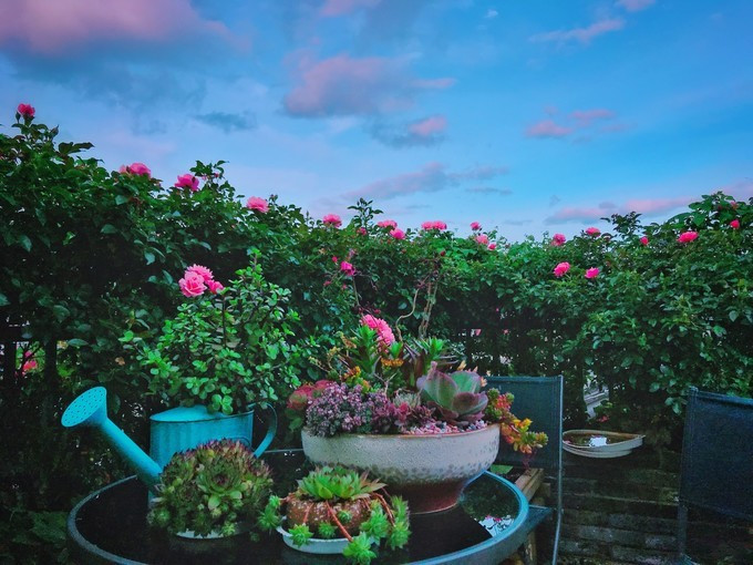 天津私人花園