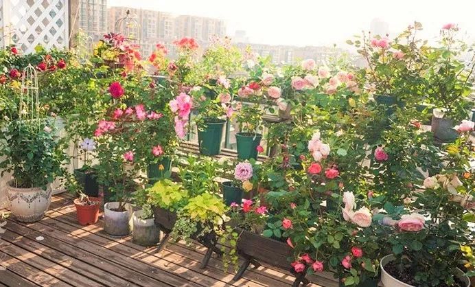 天津花園改造