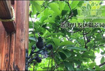 天津景觀設(shè)計