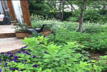 后院裝修