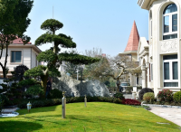 打造別墅花園設(shè)計(jì)園林景象的秘訣