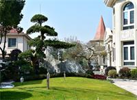 打造別墅花園設(shè)計(jì)園林景觀的訣竅
